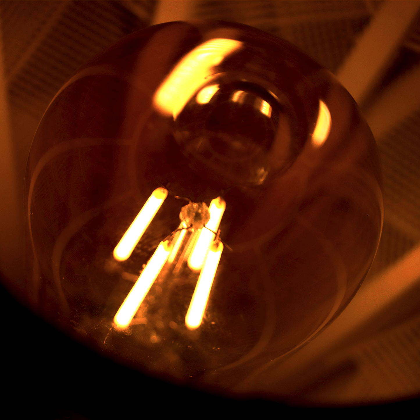 Close-up of a vintage-style light bulb with visible filaments.
