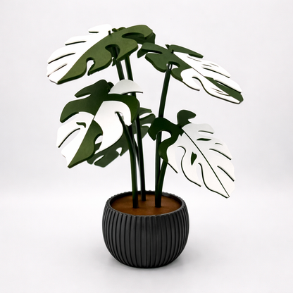 Potted plant with green leaves in a black pot on a white background