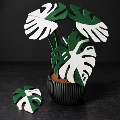 Decorative plant with green and white leaves in a black pot on a dark background